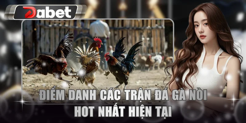 Điểm danh các trận đá gà nòi hot nhất hiện tại