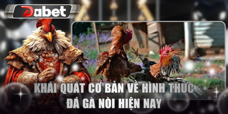 Khái quát cơ bản về hình thức đá gà nòi hiện nay