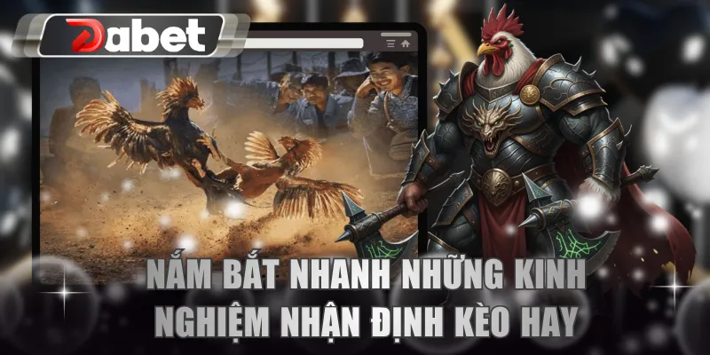 Nắm bắt nhanh những kinh nghiệm nhận định kèo hay