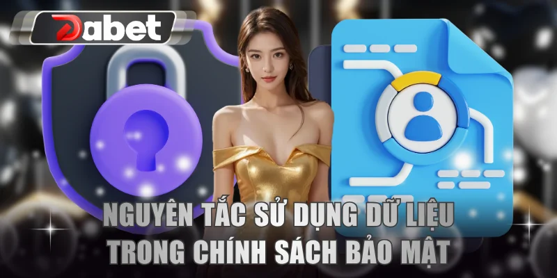 Nguyên tắc sử dụng dữ liệu riêng tư trong chính sách bảo mật