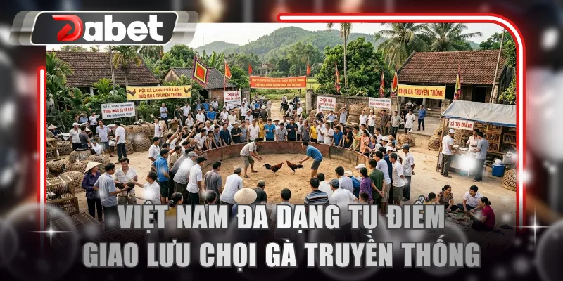 Việt Nam đa dạng tụ điểm giao lưu chọi gà truyền thống